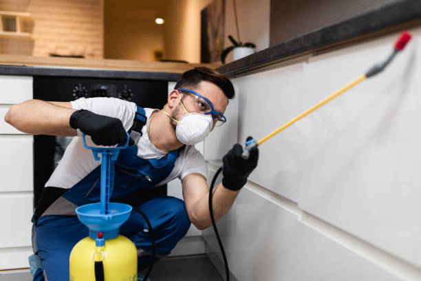 Best Best Pest Control Companies  in Milroy, PA