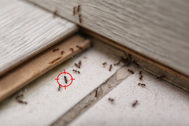 Best Wildlife Control Services  in Milroy, PA