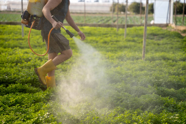 Best Local Pest Control Services  in Milroy, PA