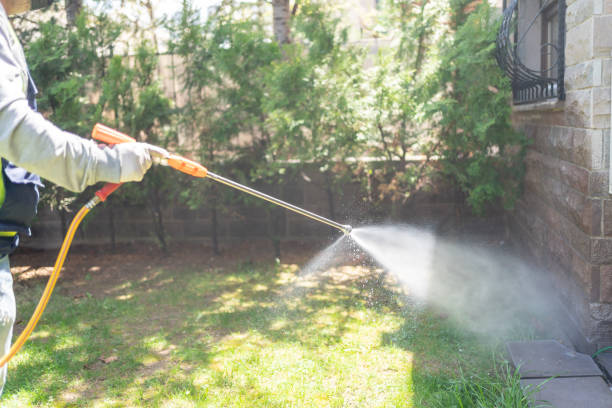 Best Bed Bug Extermination  in Milroy, PA