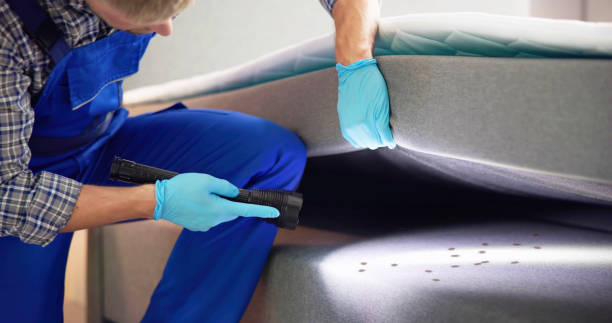 Best Residential Pest Control  in Milroy, PA