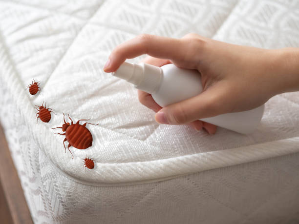 Best Insect Control  in Milroy, PA