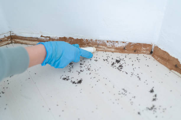 Best Pest Control Near Me  in Milroy, PA
